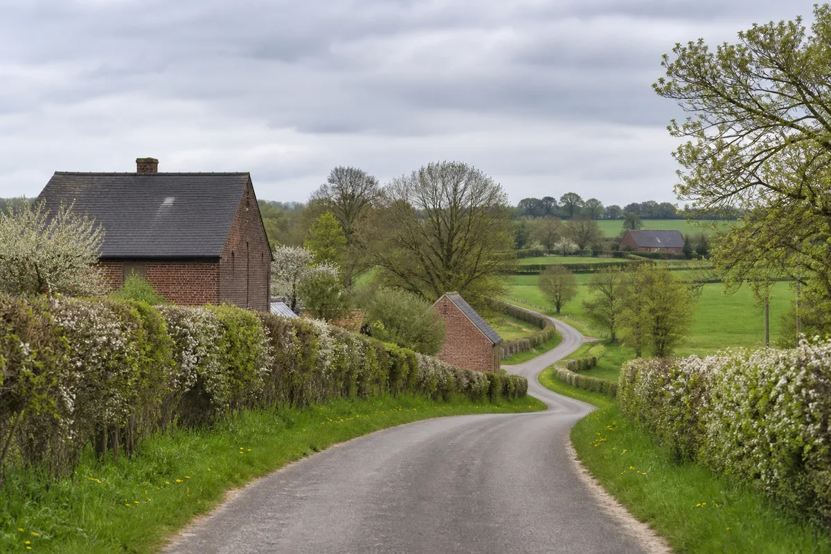 Route de campagne bordée de haies vives traversant le bocage de Thiérache au printemps
